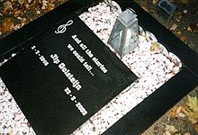 Grave of Jip Golsteijn Graf Jip Golsteijn.jpg