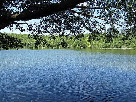 Großer Zeschsee2