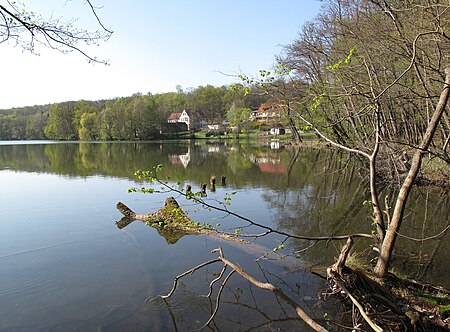 Grosser Tornowsee 01