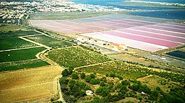 Gruissan, le vignoble et les salins.