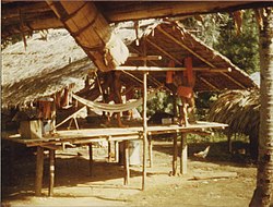 Традиционный дом в Антекуме Пата.