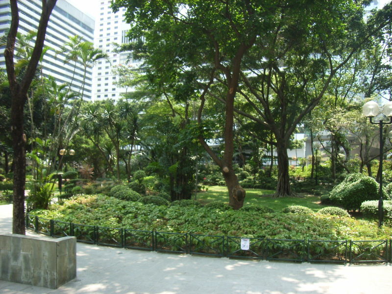 File:HK Chater Garden 417 forest.jpg