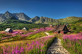 Parc national des Tatras.