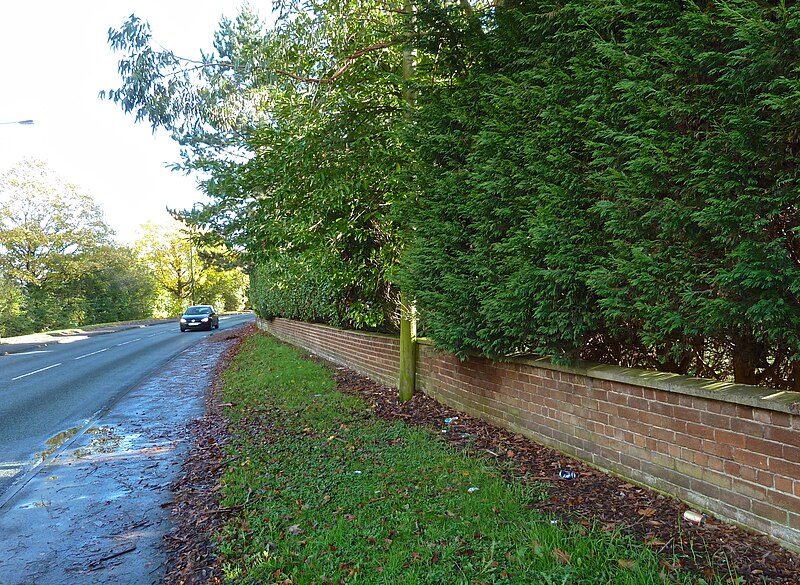 File:Hale Road, Hale Barns - geograph.org.uk - 3738387.jpg