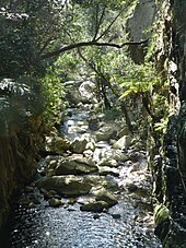 Tonquani Kloof, Magaliesberg