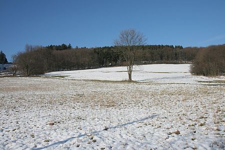 Hemer Bemberg1 Bubo