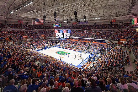 O arena. Волейбольная Арена. Арена поинт. Волейбольная Арена Динамо Москва. Волейбольный стадион внутри.