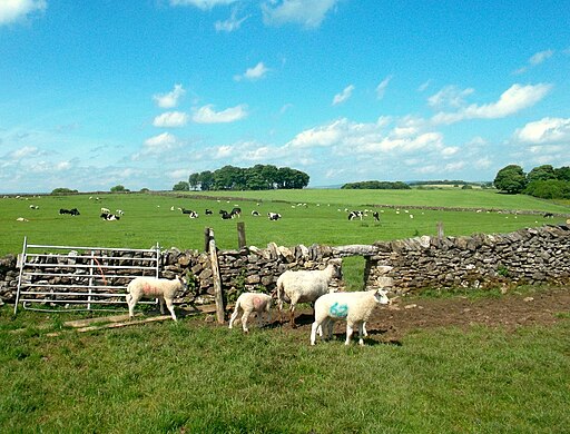 Hole in the Wall - geograph.org.uk - 3003859