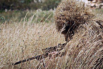Sapeur de Tsahal en tenue de camouflage.