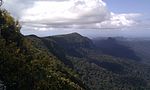 Vignette pour Parc national de Springbrook