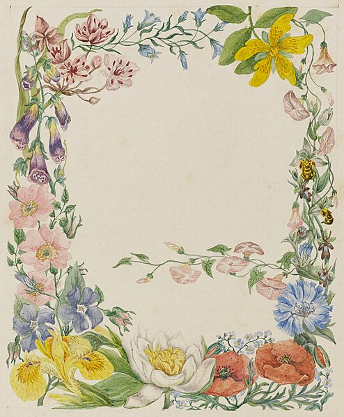 File:Illuminated flower border - Sarah Cresswell - 19 1927 1 19.jpg