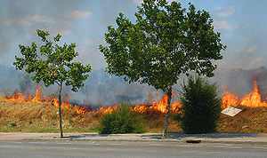 Incendio-Madrid.jpg