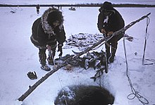 Inuit fishing for sheefish at Selawik NWR.jpg