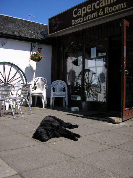 File:It CAN get too hot in Killin^ - geograph.org.uk - 1350892.jpg