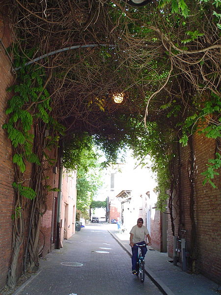 File:Ivy haning over Salem alley.jpg