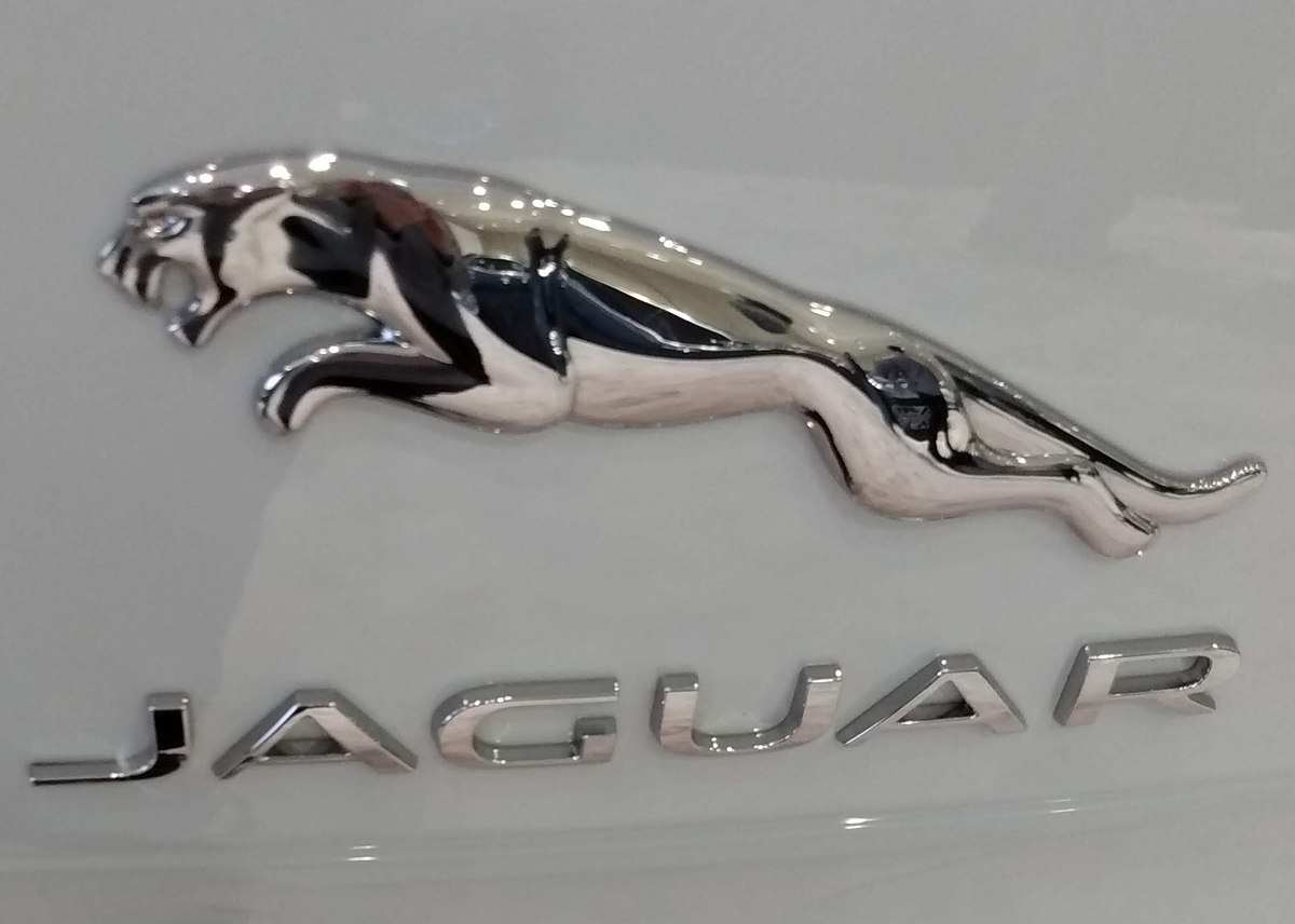 The Jaguar Symbol  History of the Jaguar Logo