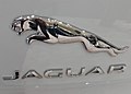Jaguar logo.jpg
