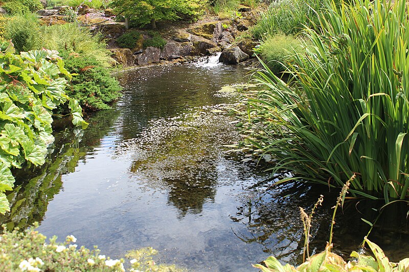 File:Jardin Botanique Royal Édimbourg 31.jpg