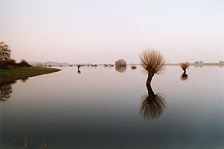 Jeetzel River in Germany