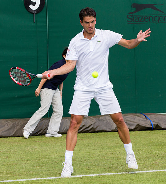 File:Jesse Huta Galung 6, 2015 Wimbledon Qualifying - Diliff.jpg