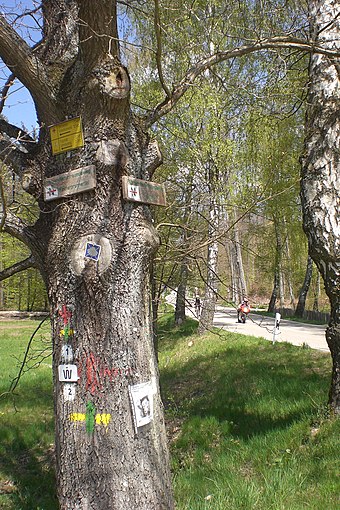 Waymarks at the hamlet of Johanniskreuz JohanniskreuzWegmarkierungen.JPG