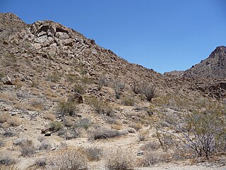 Desert Nation Park