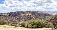 Jumbuck Hill Park hillside from Brigadoon after 2021 wooroloo bushfire.jpg