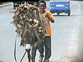 English: Young boy with a donkey in Ethiopia Deutsch: Junge mit Esel in Äthiopien