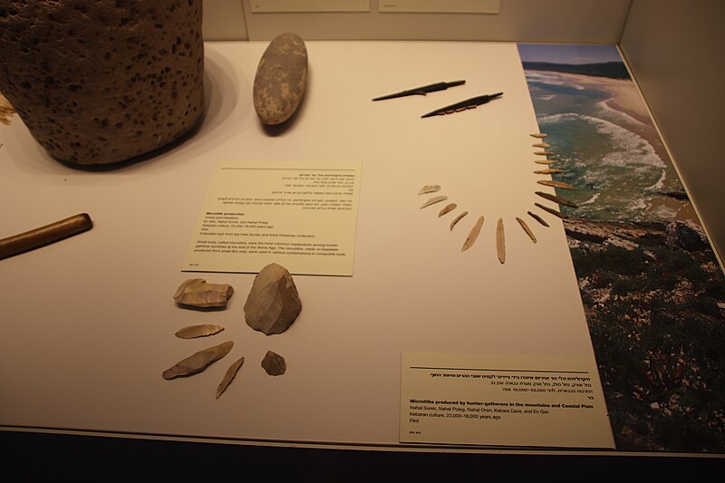 File:Kebaran Culture Flint Microliths.jpg