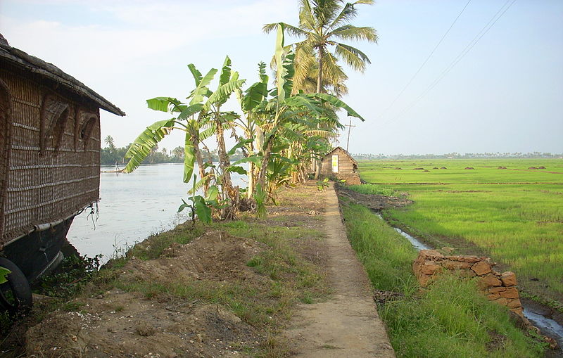 File:Kerala Kuttanad2.jpg