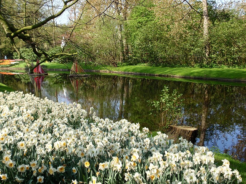 File:Keukenhof floranta 11.jpg