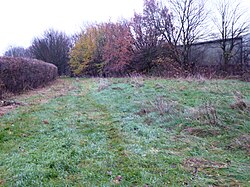 Kirby Frith Nature Reserve 4.jpg