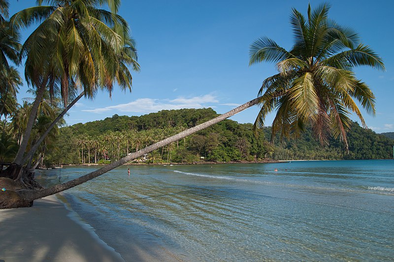 File:Koh Kut, Thailand, Palm trees, Lagoon.jpg