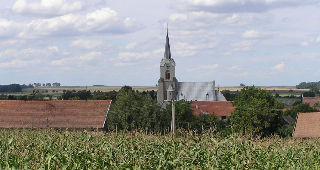 Křenovice (Přerovi járás)