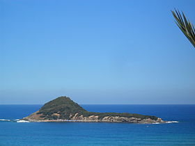 Vista da grande ilha Cavallo