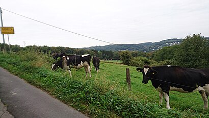 So kommt man zu Lölsberg mit den Öffentlichen - Mehr zum Ort Hier