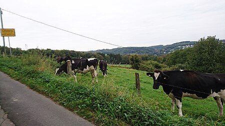 Lölsberg Wegweiser