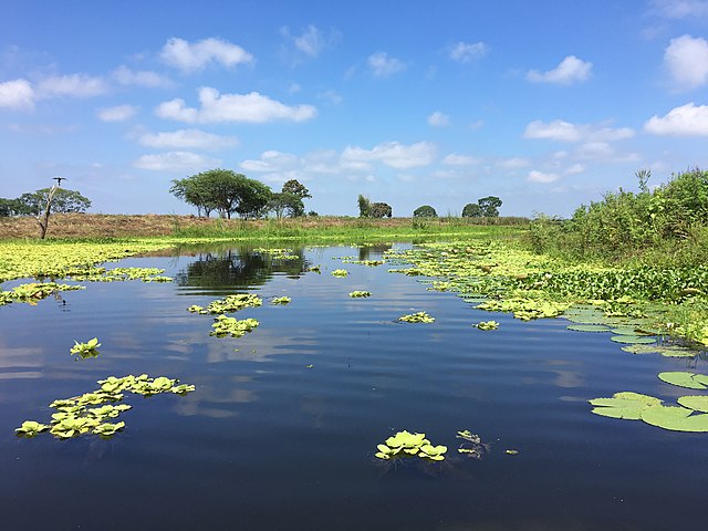 640px-La_Tembladera_Ramsar_wetland.jpg (640×480)