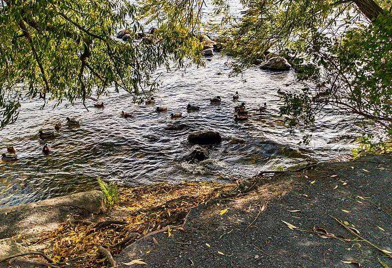 File:Lamoureux Park Walkway (37599794590).jpg