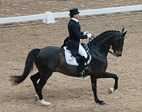Leslie Morse, dressage rider from the United States, with the Swedish Warmblood stallion "Tip Top", World Cup Final 2007.jpg