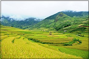 युन बाई प्रांत