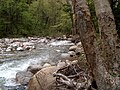 Thumbnail for Little River (Ammonoosuc River tributary)