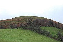 Llwyn Bryn Dinas Llwyn Bryn-dinas from the north - geograph.org.uk - 650525.jpg