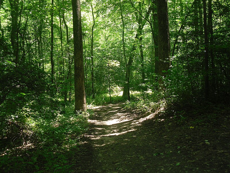 File:Lumberwoods.JPG