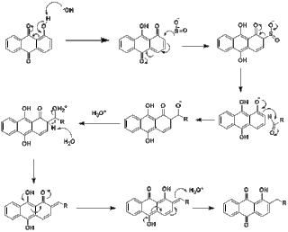 <span class="mw-page-title-main">Marschalk reaction</span>