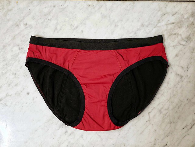 Period Underwear / Menstrual Panties