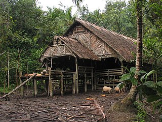 Uma longhouse