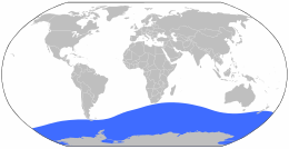 Distribución de Mesonychoteuthis hamiltoni