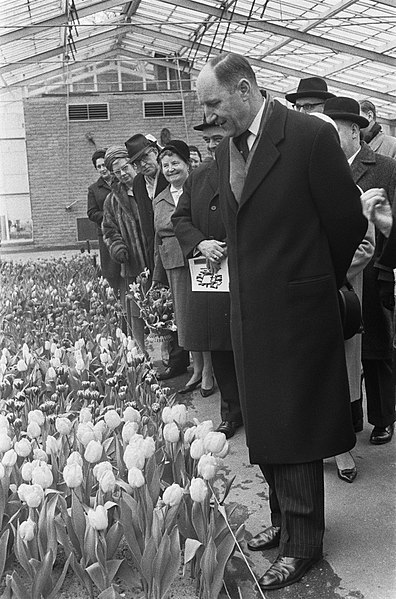 File:Minister Luns opent Keukenhof in Lisse, rondgang, Bestanddeelnr 916-2268.jpg