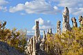 Mono Lake South Tufa Area (2013) 30.JPG